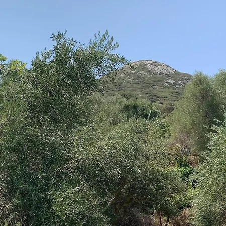 Διαμέρισμα The River House *