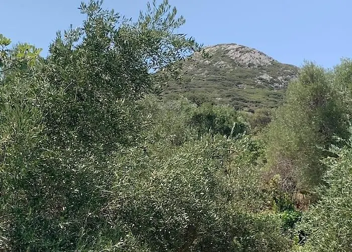 Διαμέρισμα The River House *